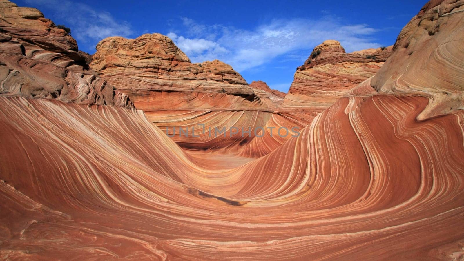The Wave - Panorama