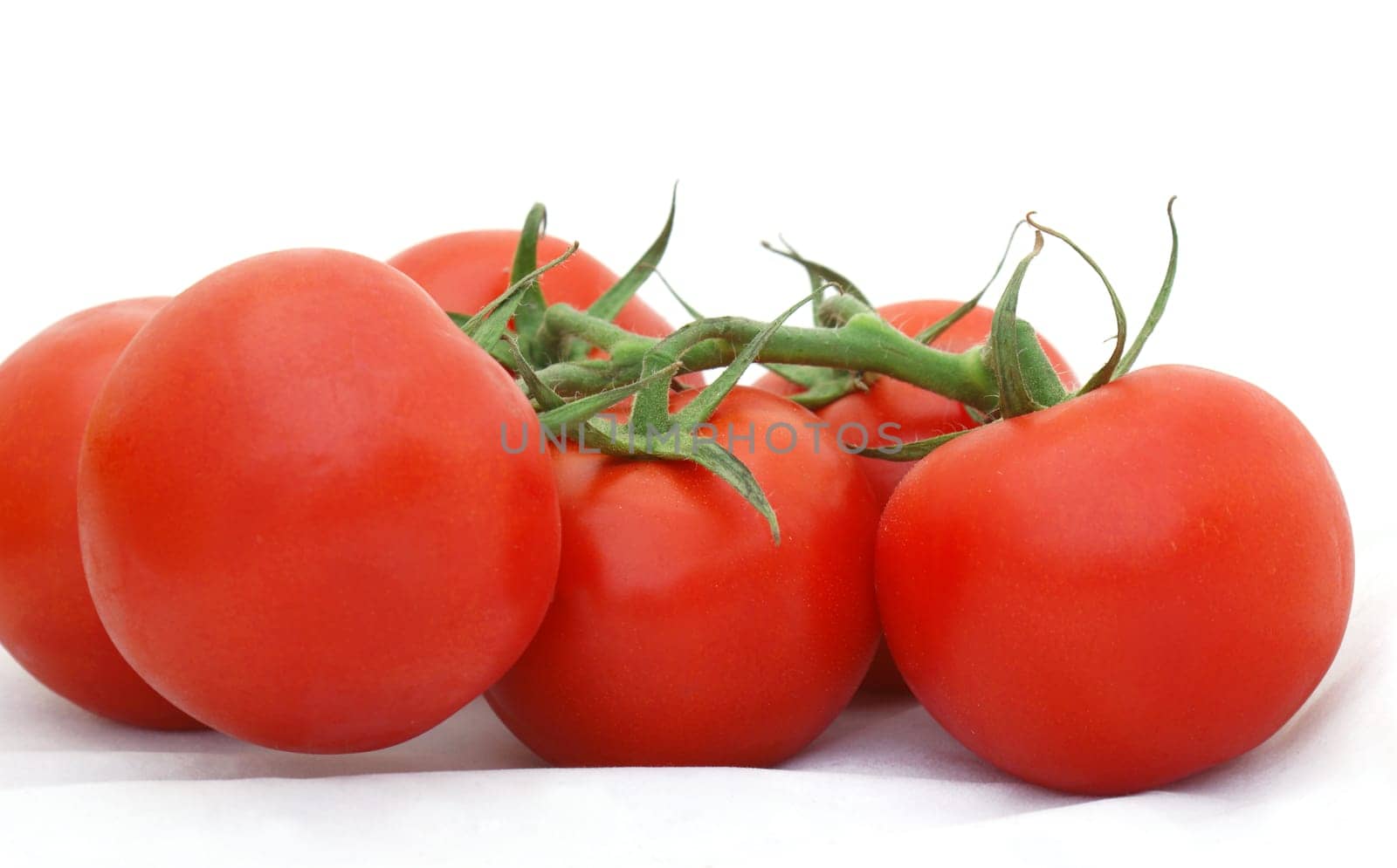 Tomatoes on the vine