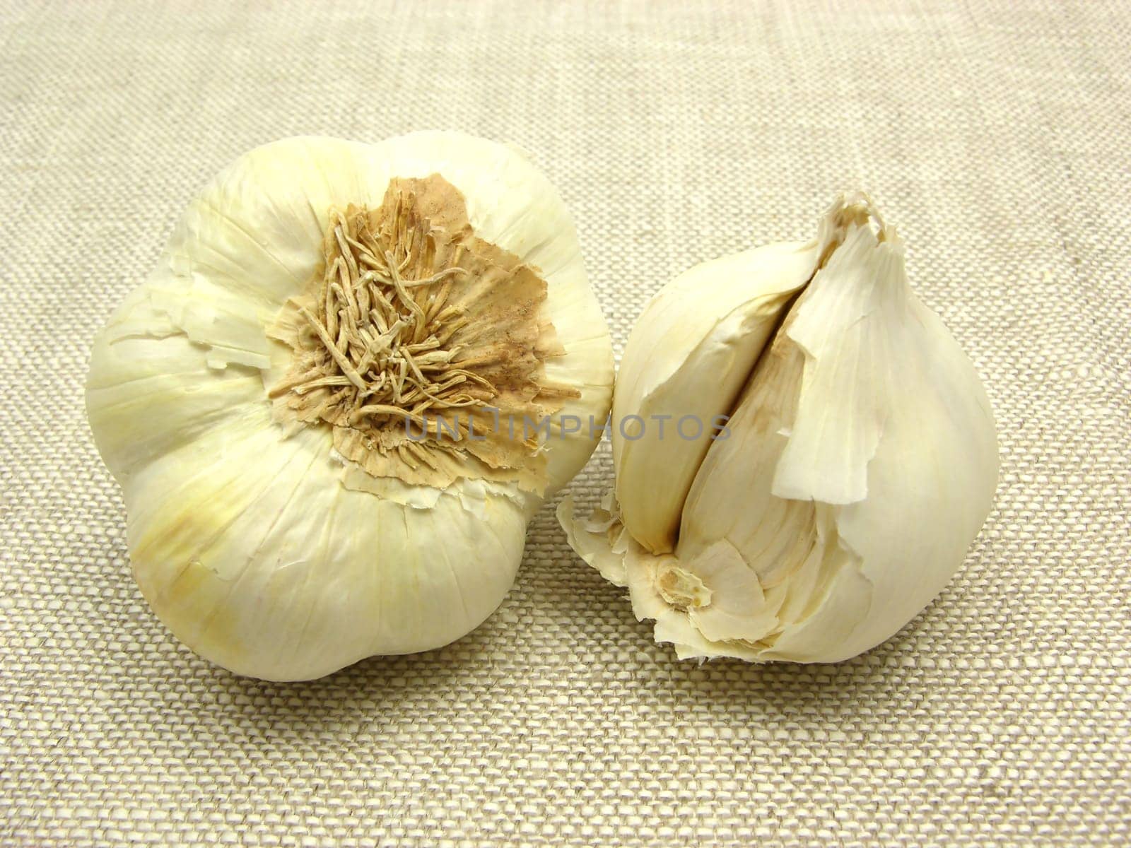 Garlic cloves arranged on a beige background