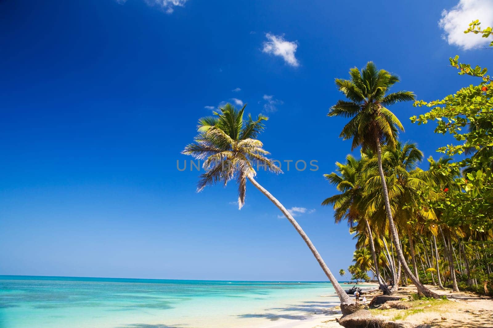 caribbean160309