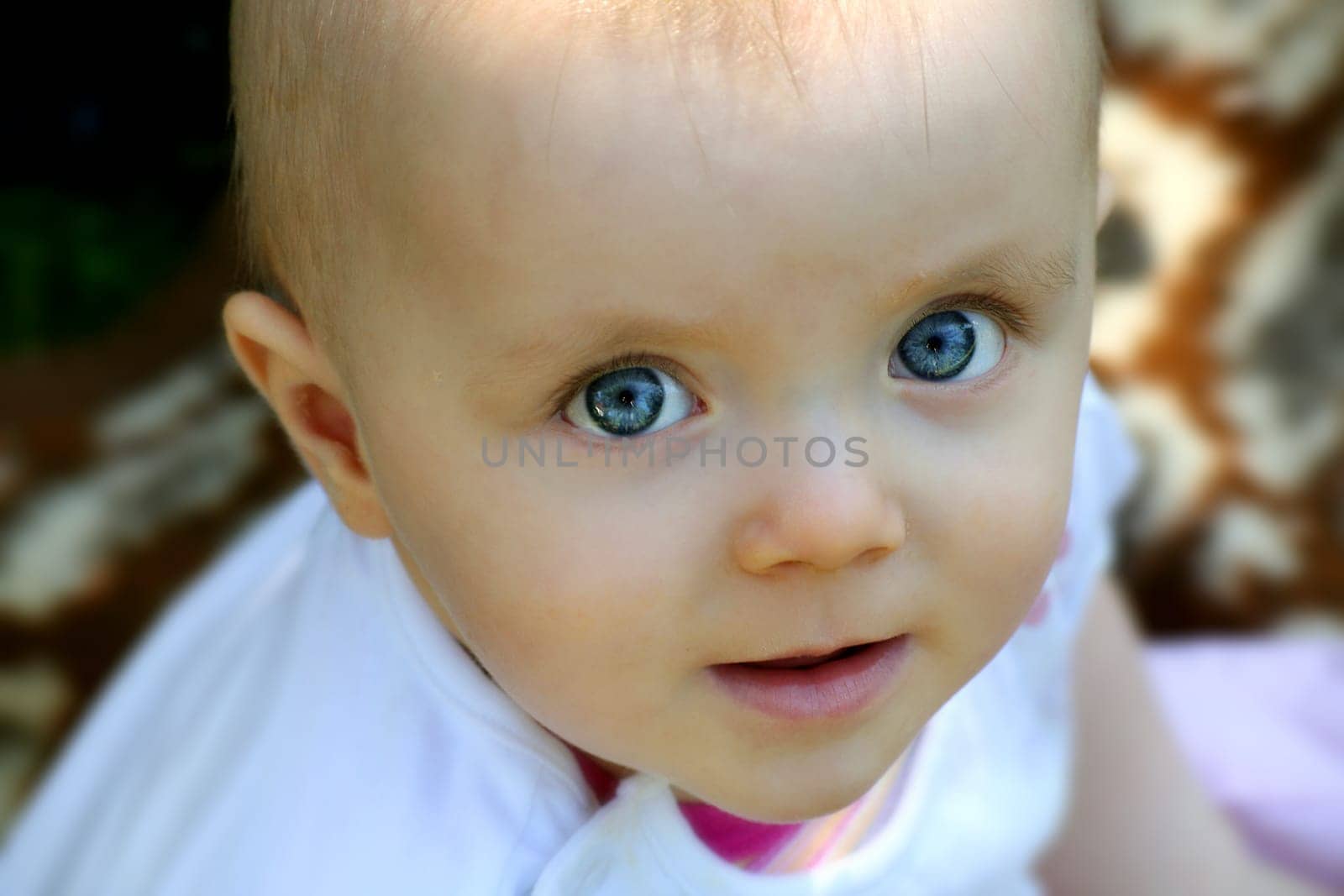Portrait of a baby