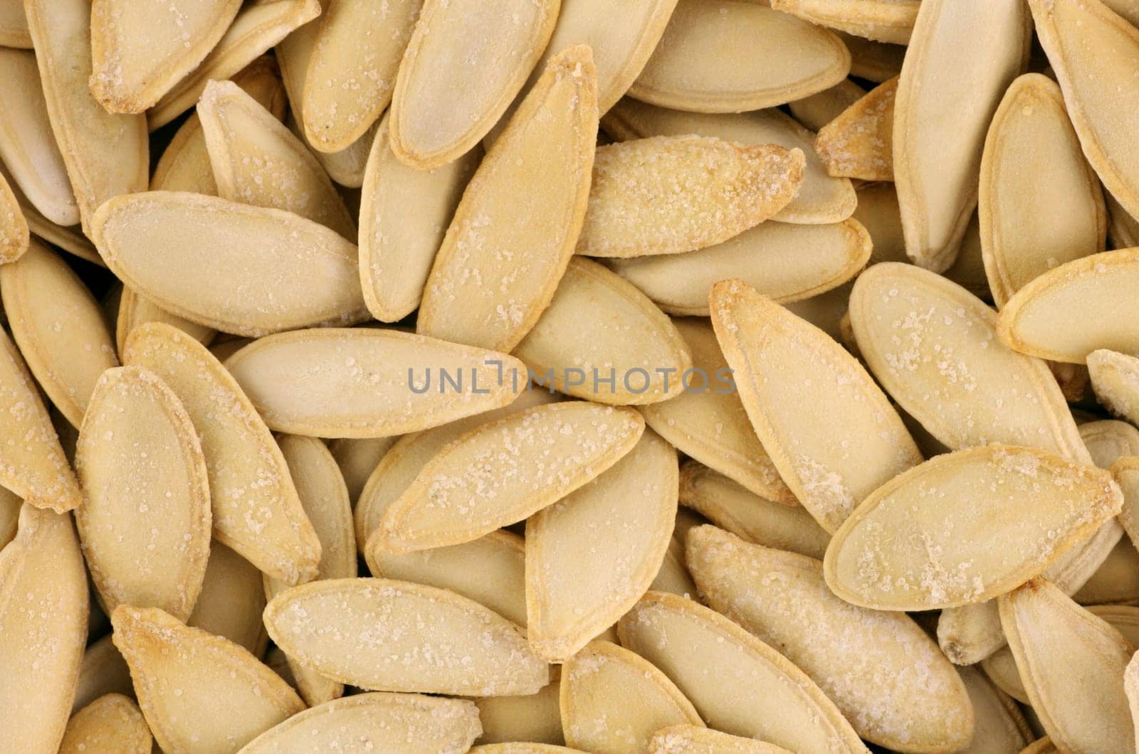 Roasted and salted pumpkin seeds
