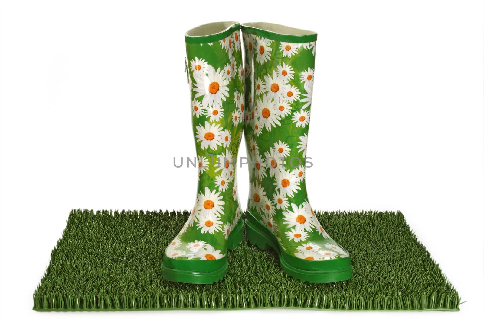 rubber boots or wellingtons