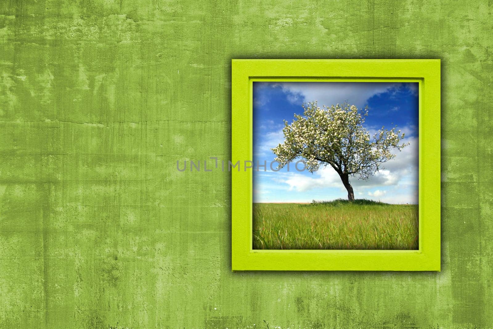 window with spring landscape view