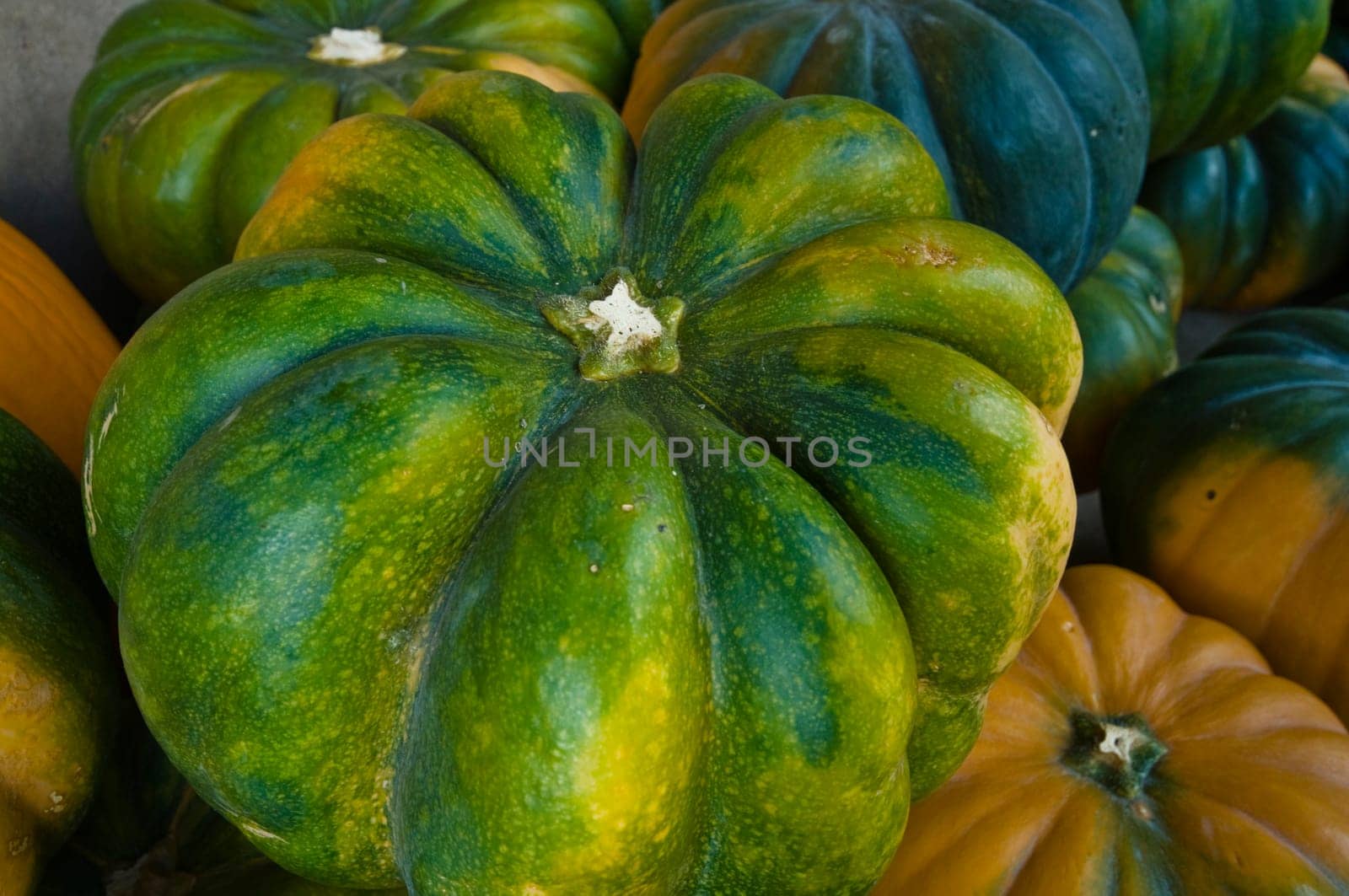 Green Pumpkin