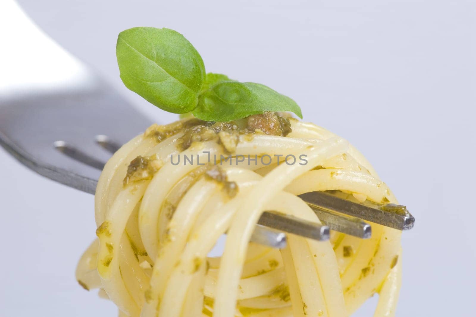 Spaghetti basil close