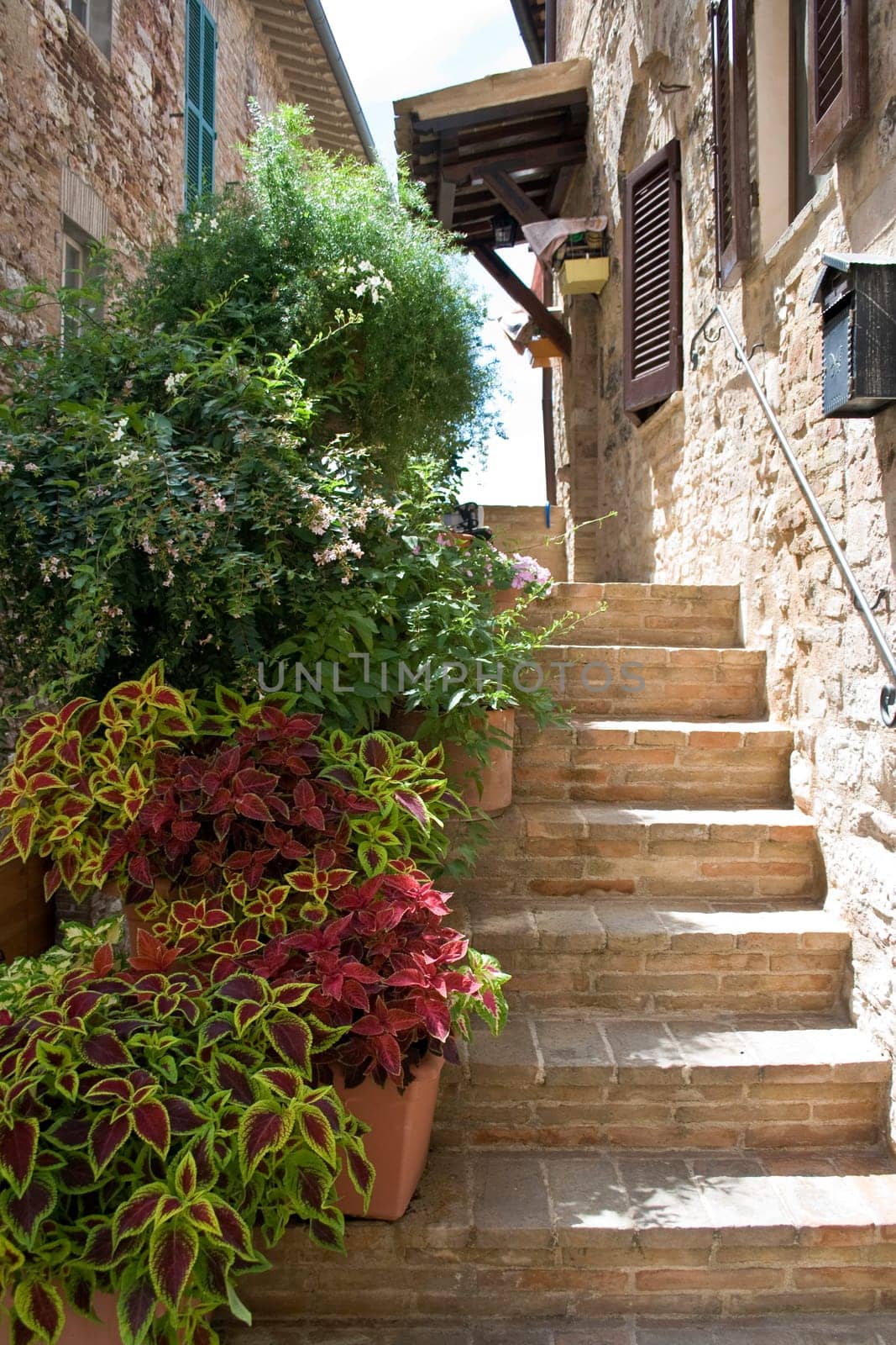 Spello-Umbria