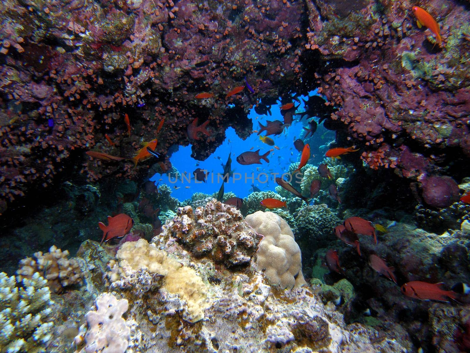 Breakthrough in the reef...