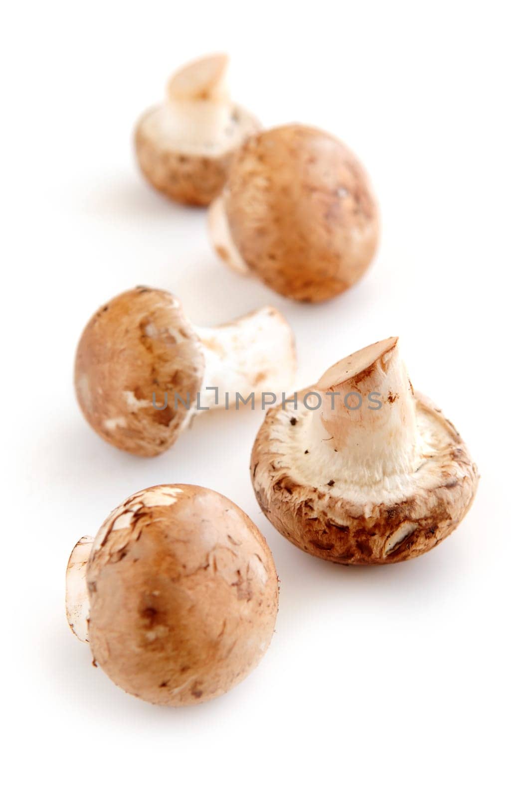 Brown mushrooms