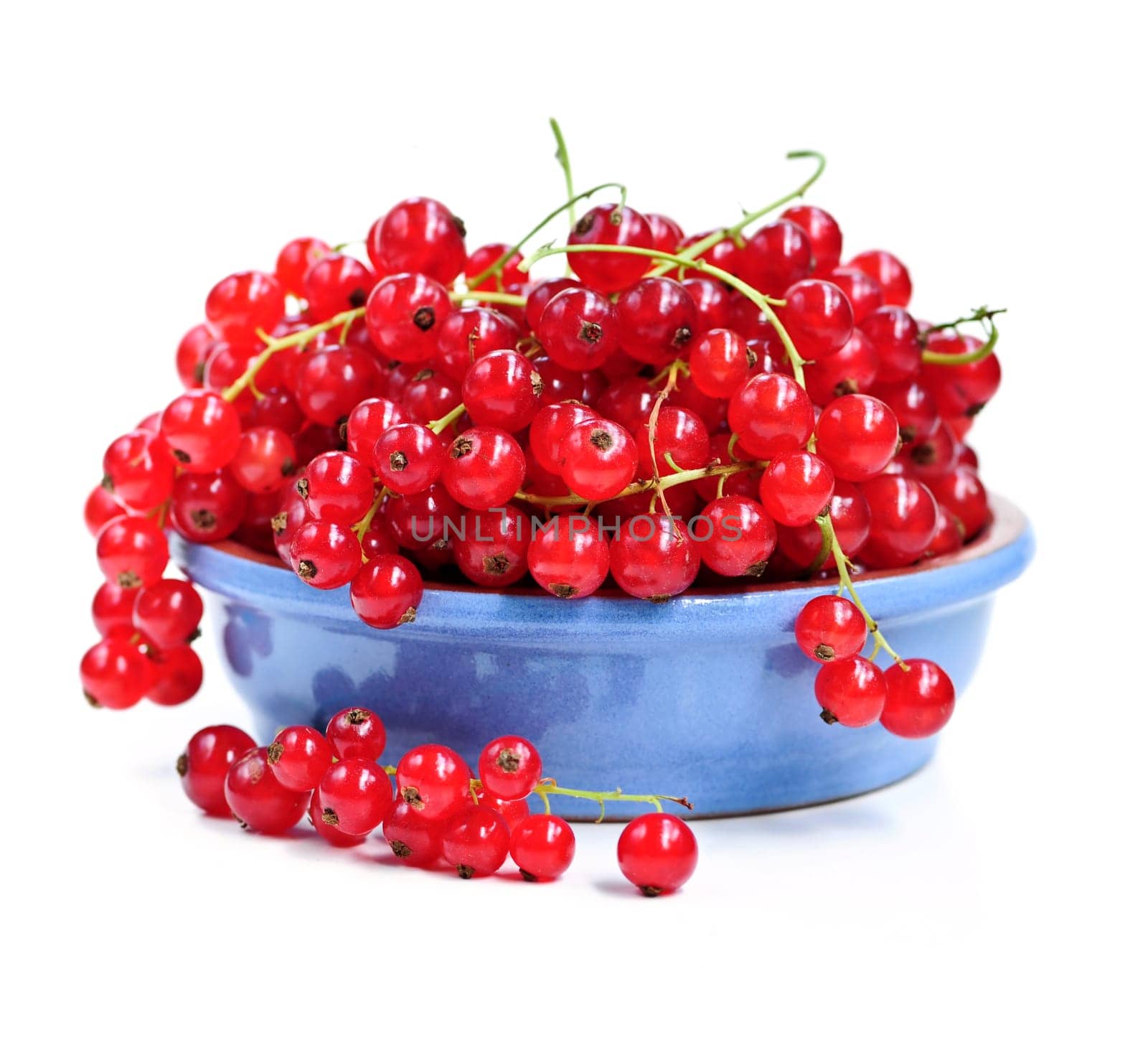 Red currants