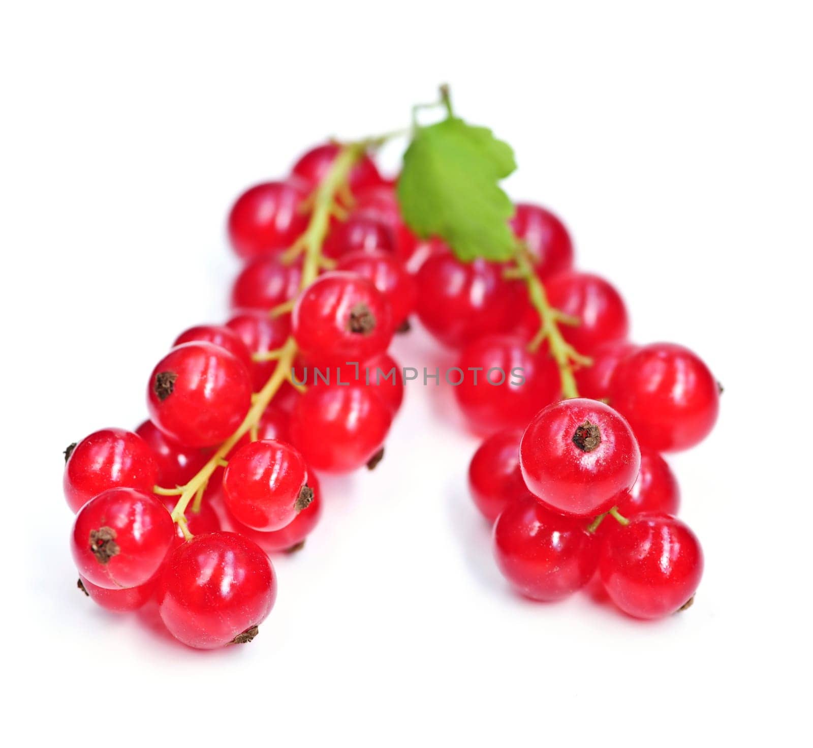 Red currants