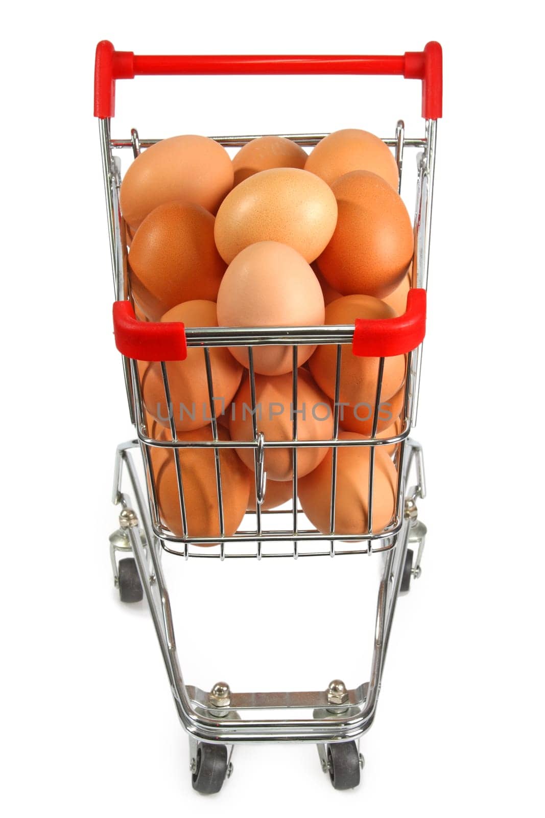Brown Eggs
