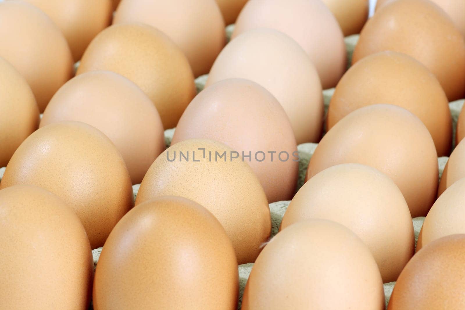 Egg pallet
