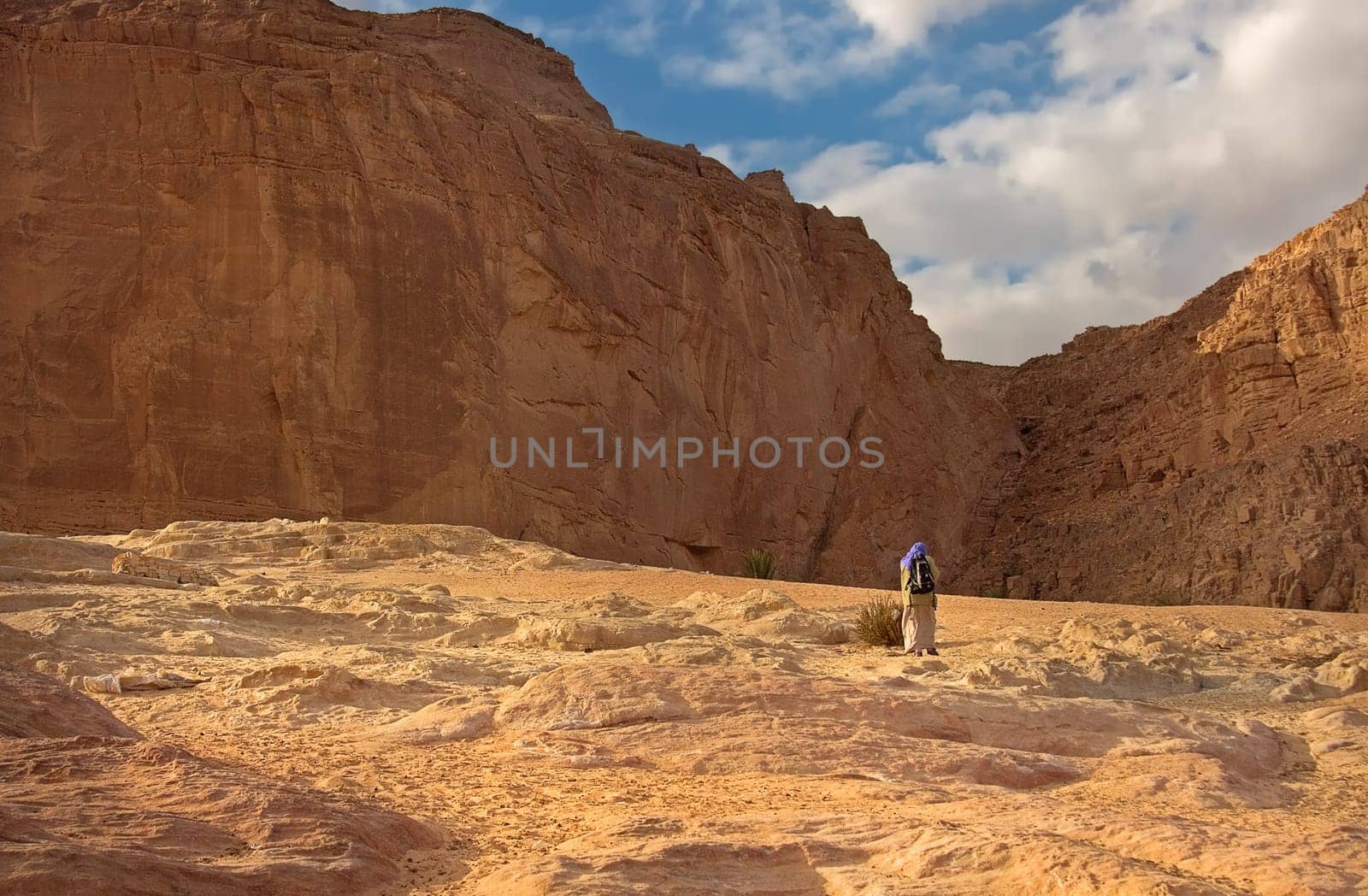 The Way of the Bedouin