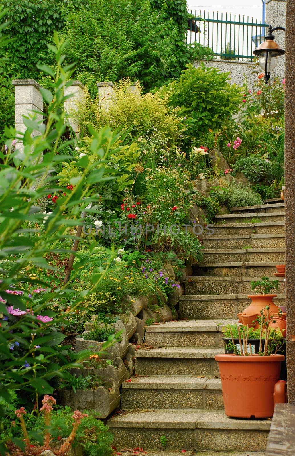 Mediterranean garden