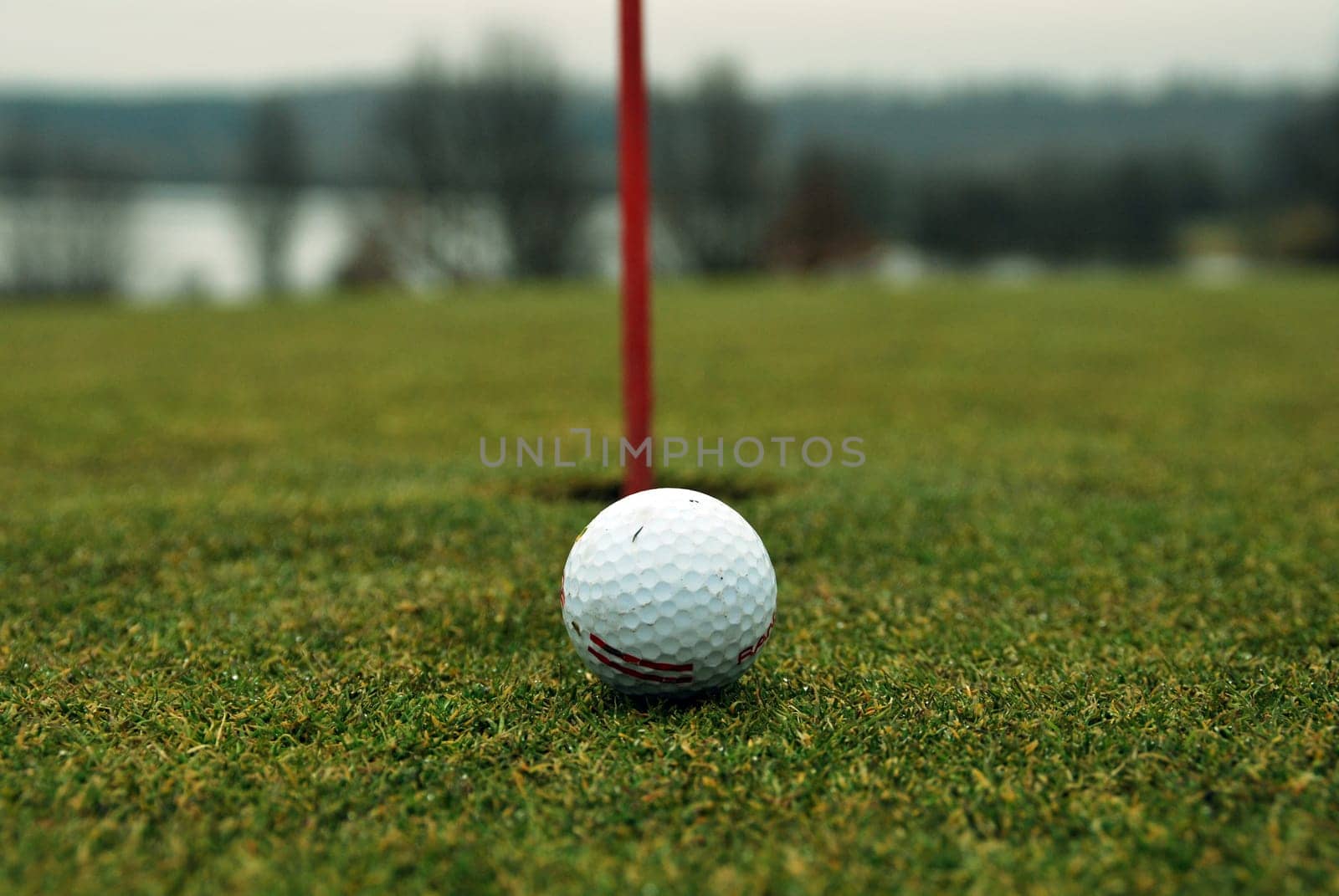 Golf 8102