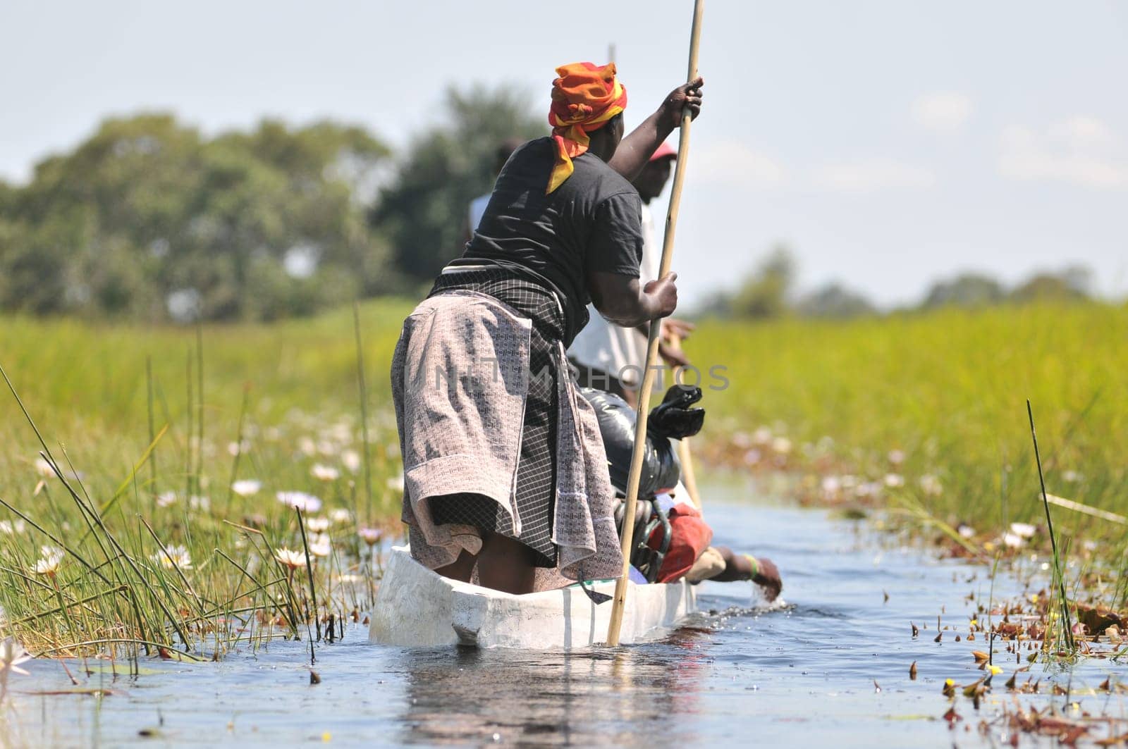 Mokoro Canoe in the Okavango Delta