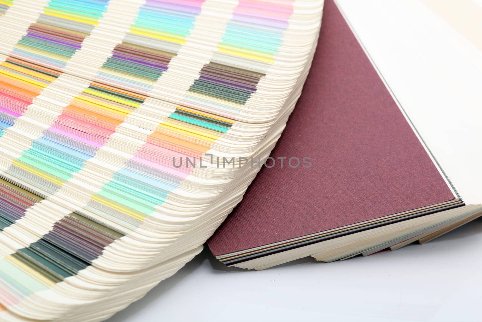 paper and color samples