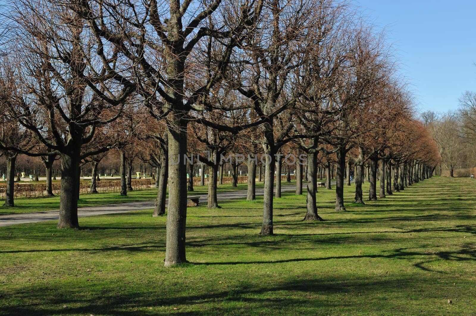 Early spring in the park