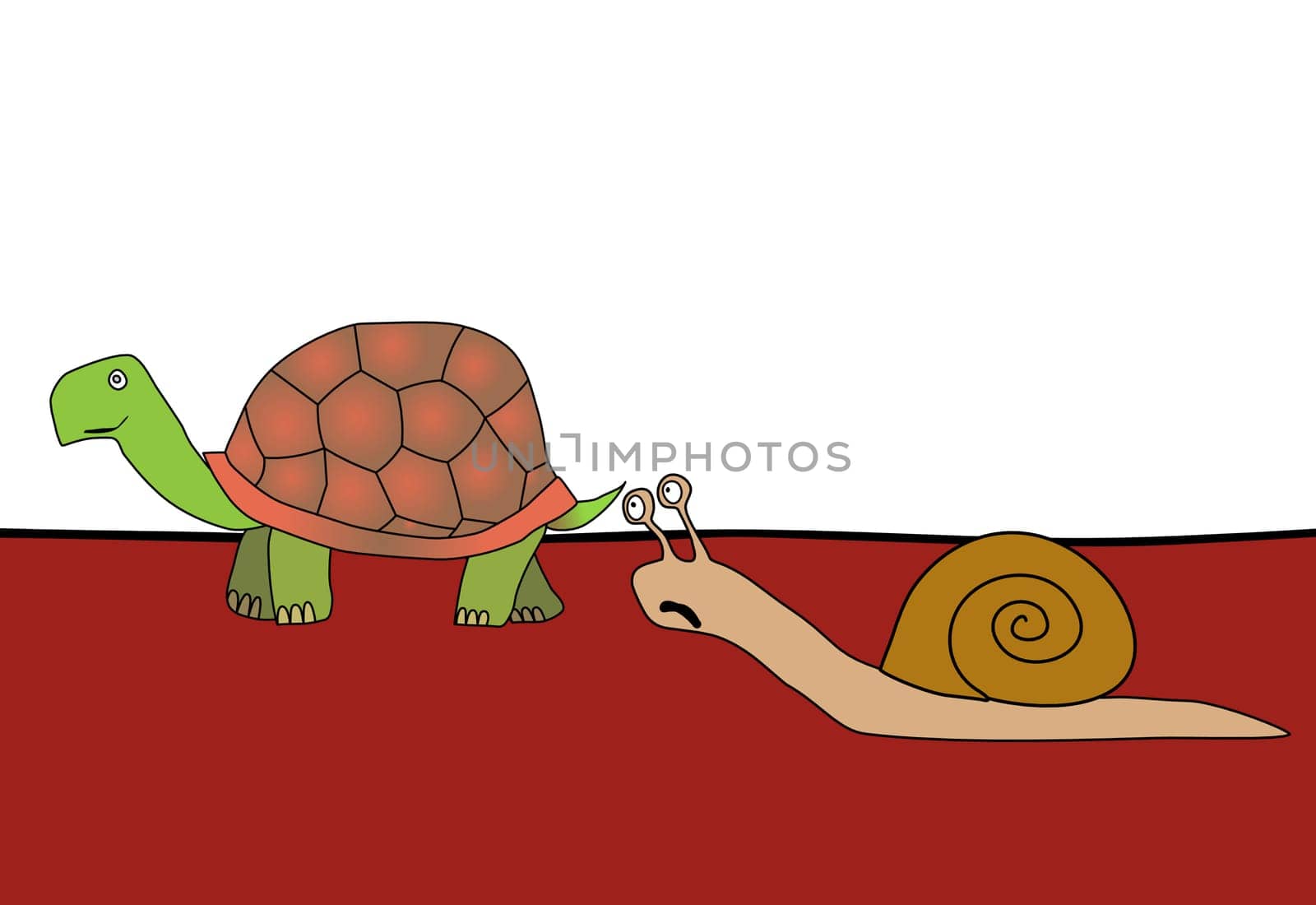 race - snail and tortoise
