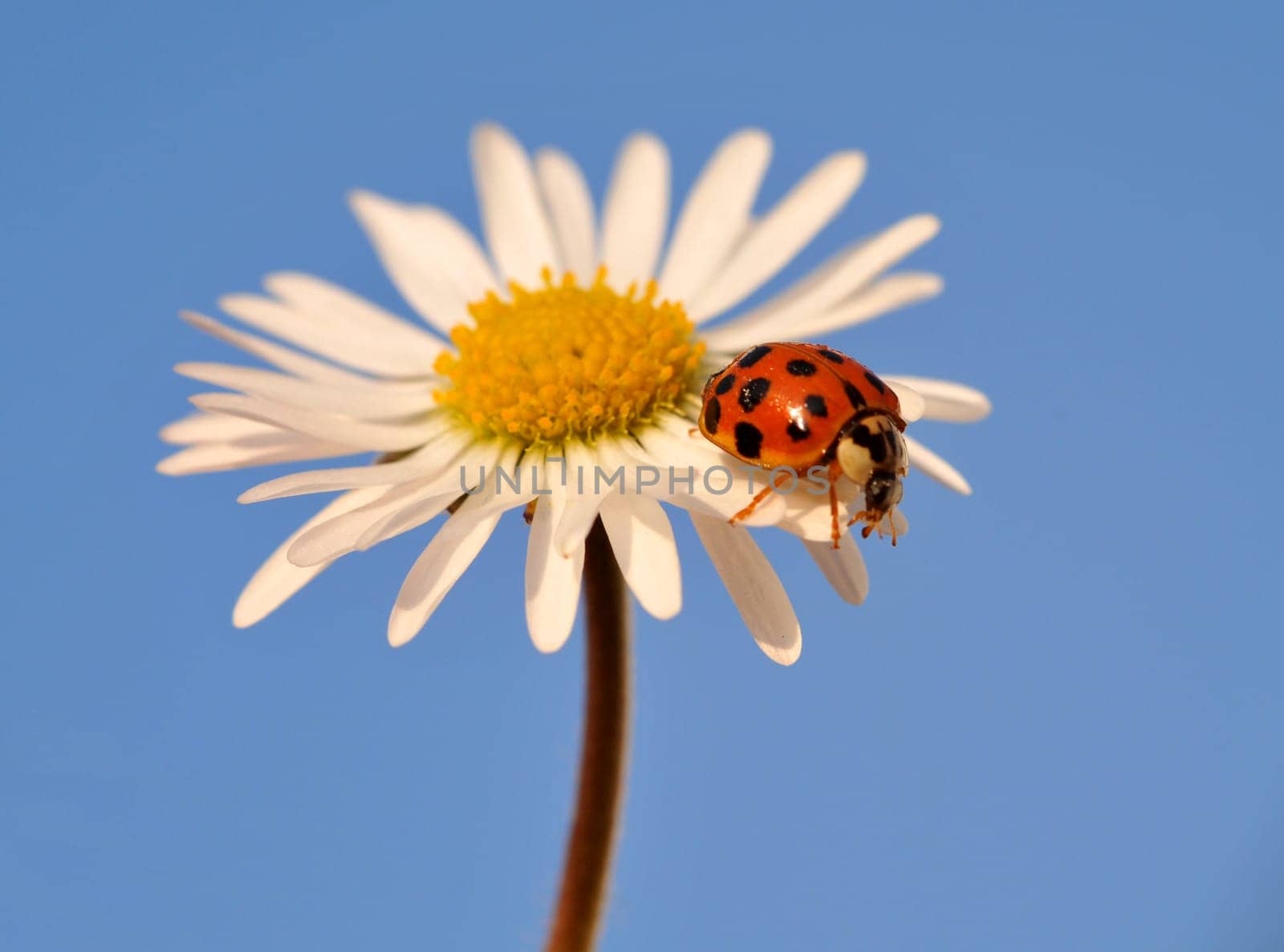 Lucky bugs...