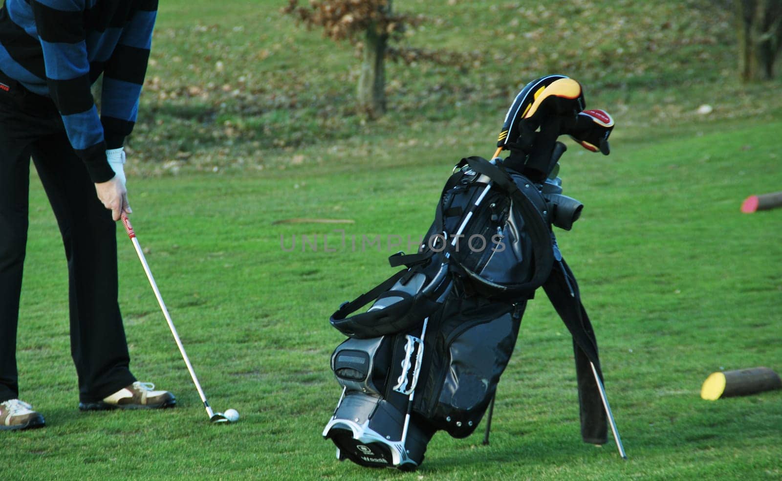 Golfing 8052