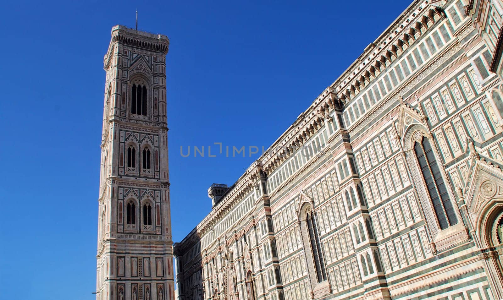 Florence 6417