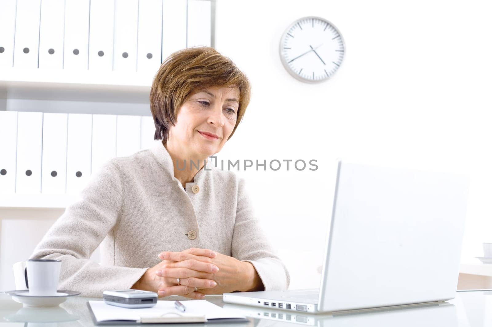 Senior Businesswoman
