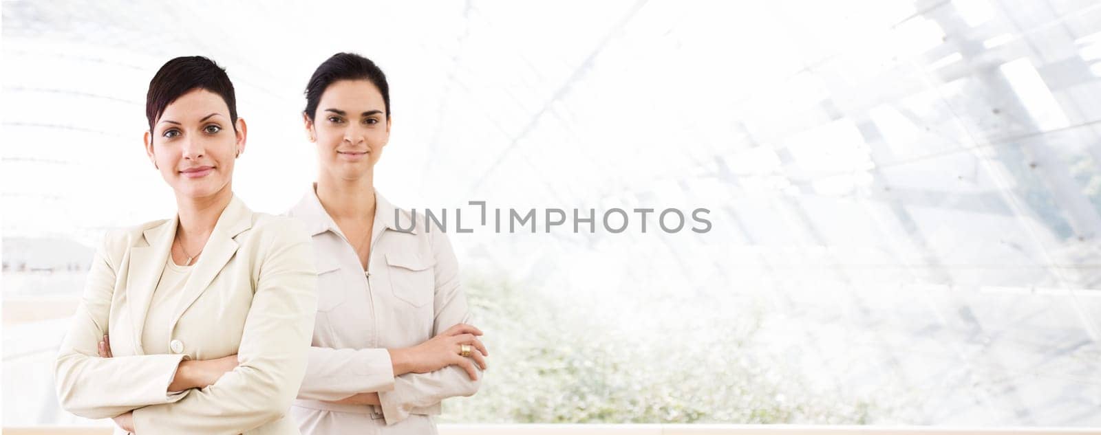 Business banner - two businesswomen
