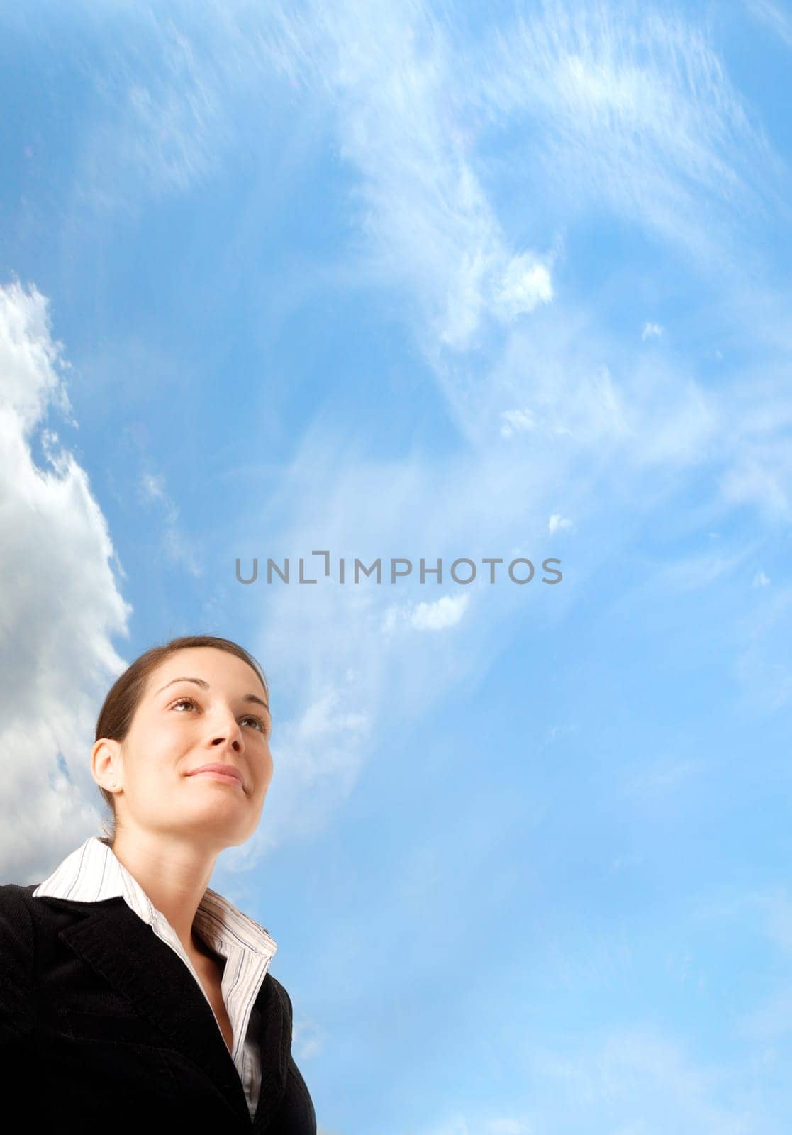 Business Vision