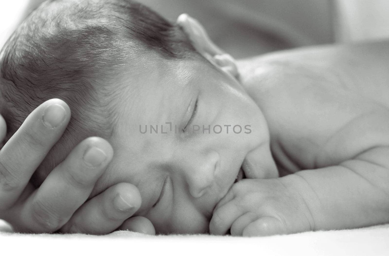 Baby Portrait