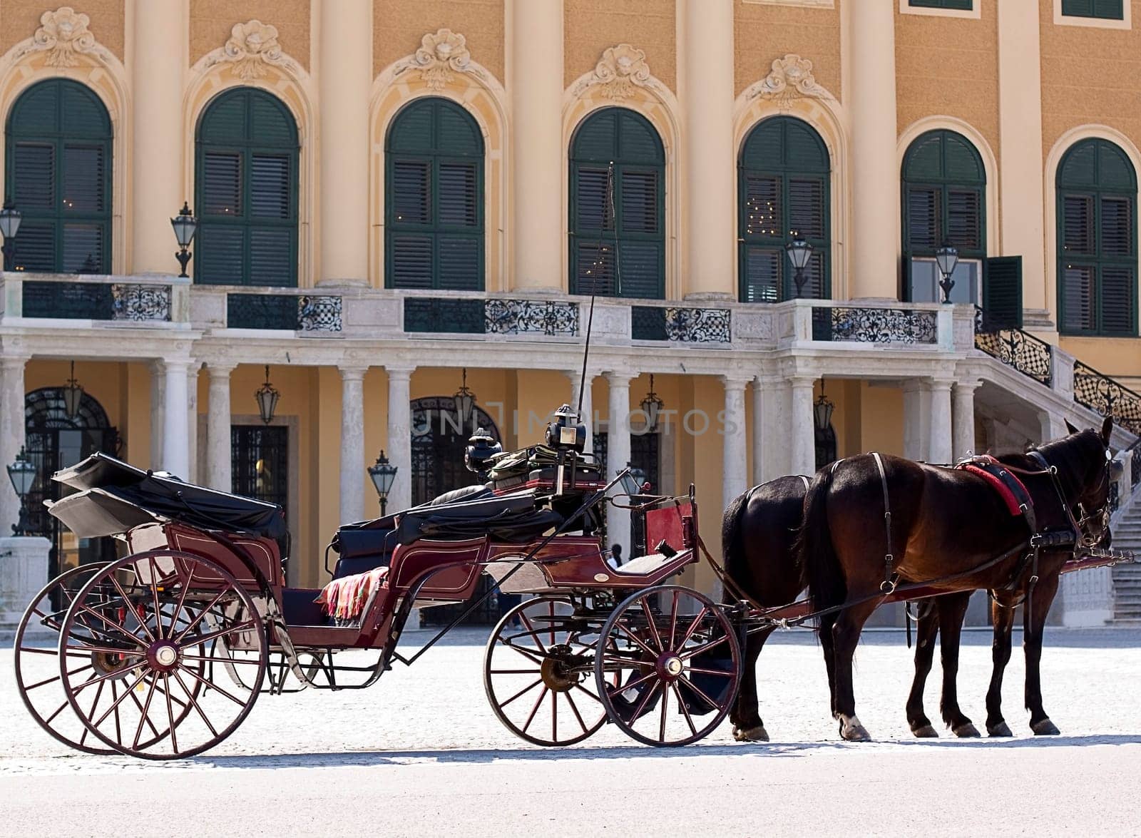 Carriage in front of Schönbrunn Palace