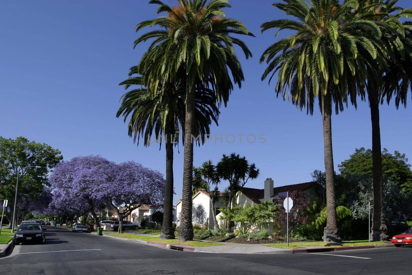 Californian property