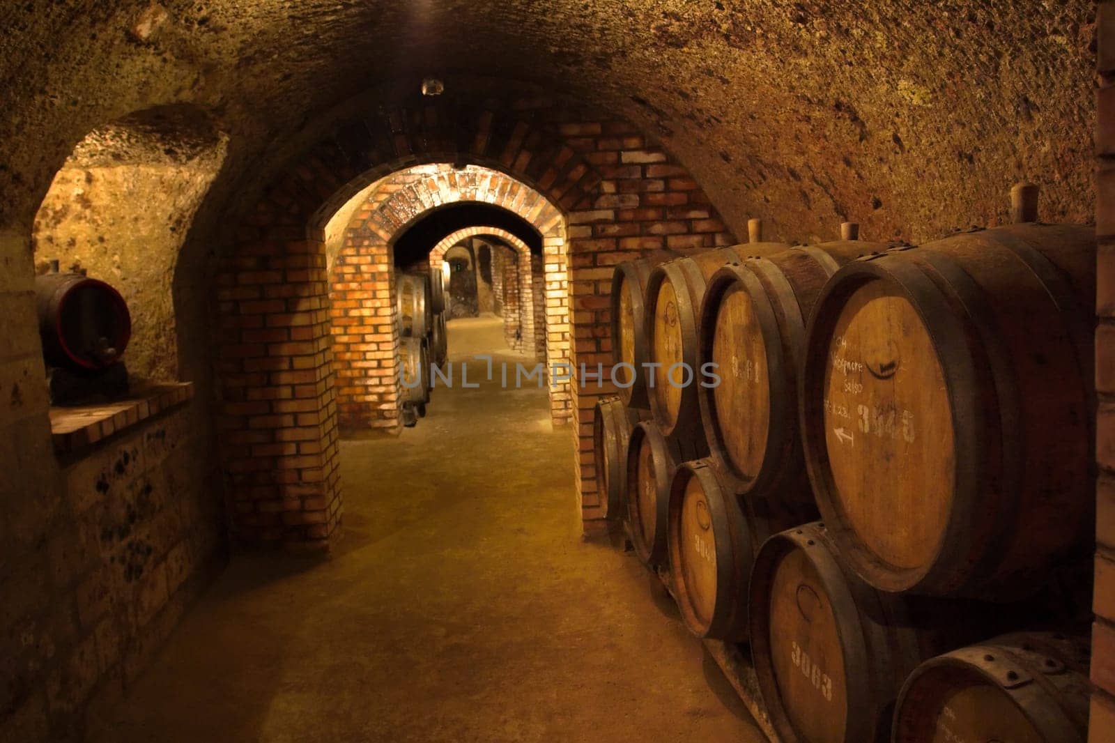 Wine-cellar