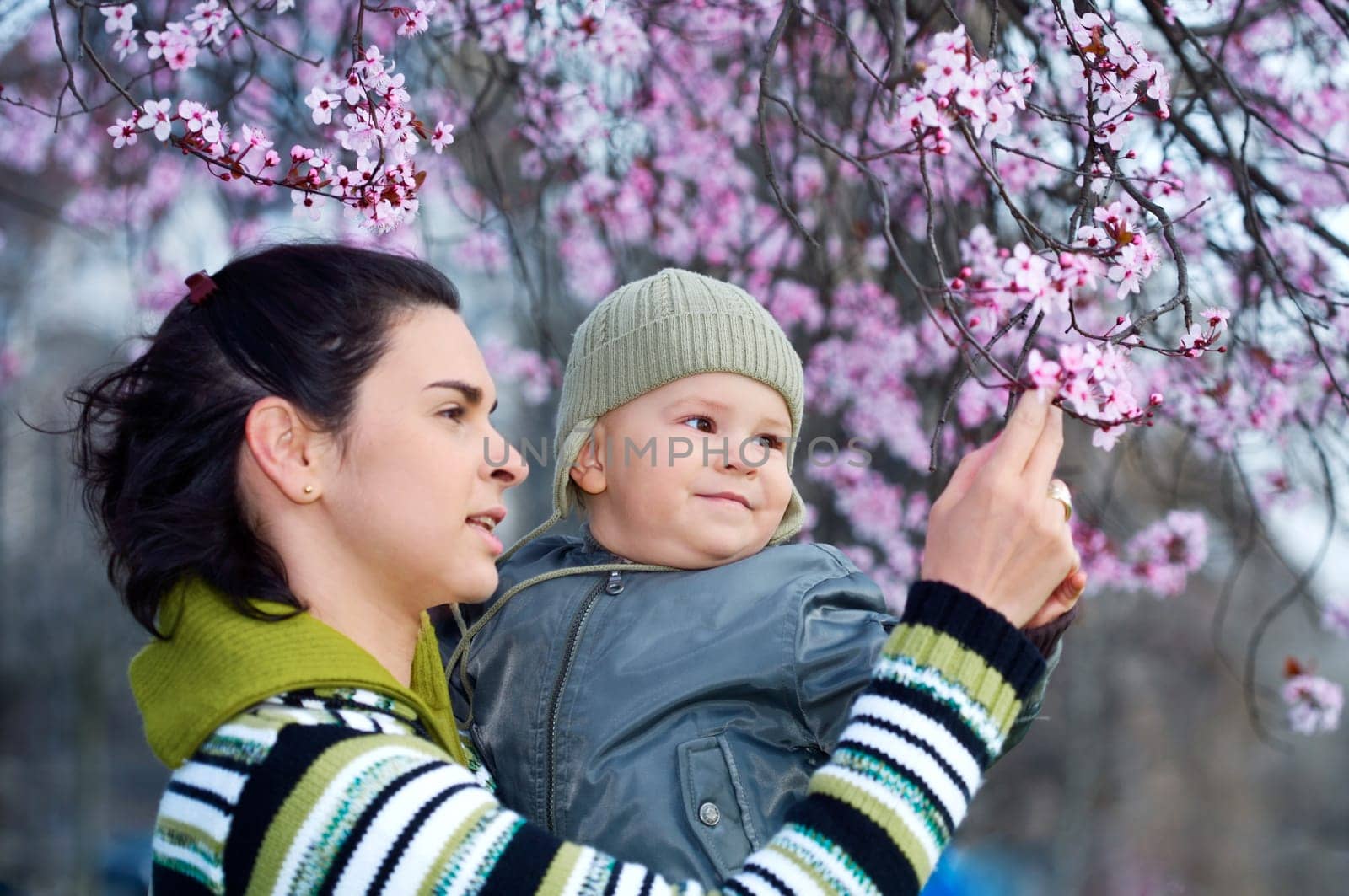 Spring