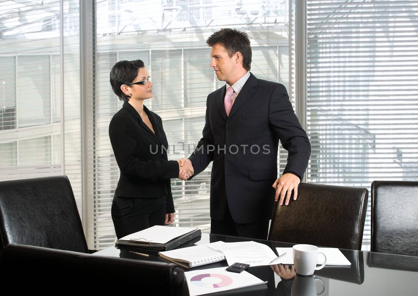 Business Handshake