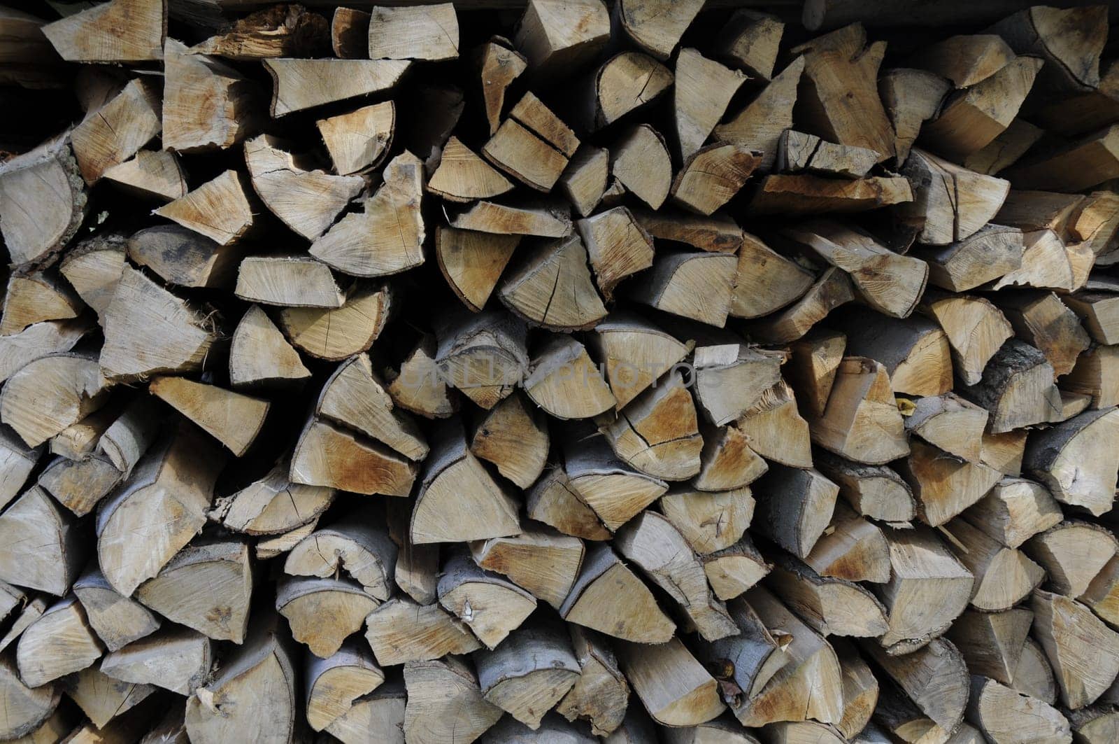 Wood pile