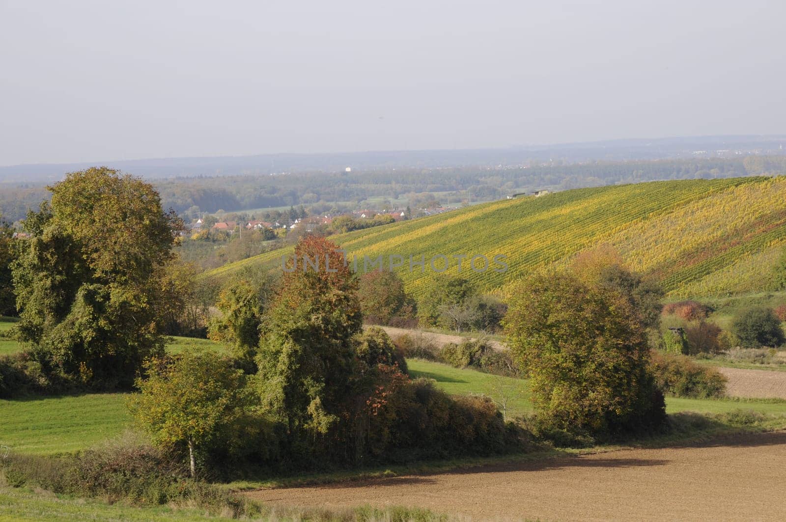 Cultural landscape