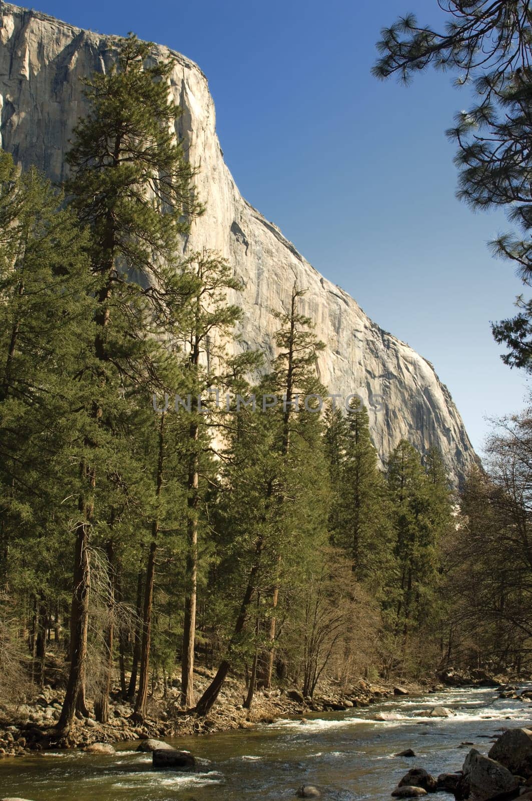 Merced River in Yosemite