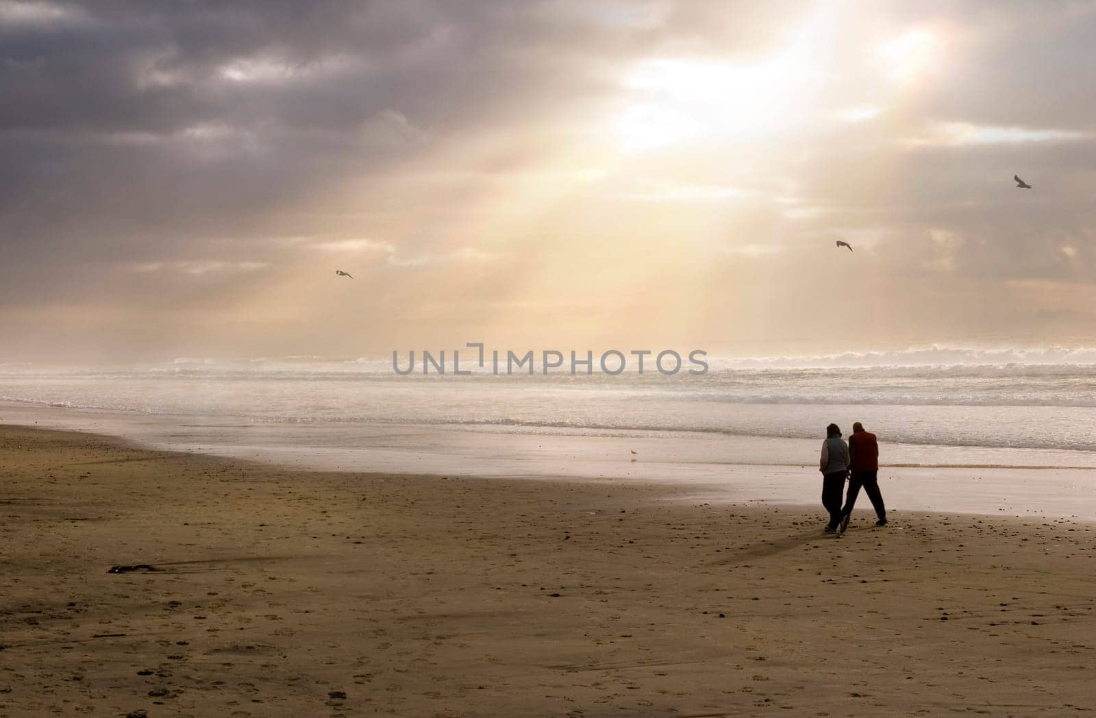 Tranquil Beach