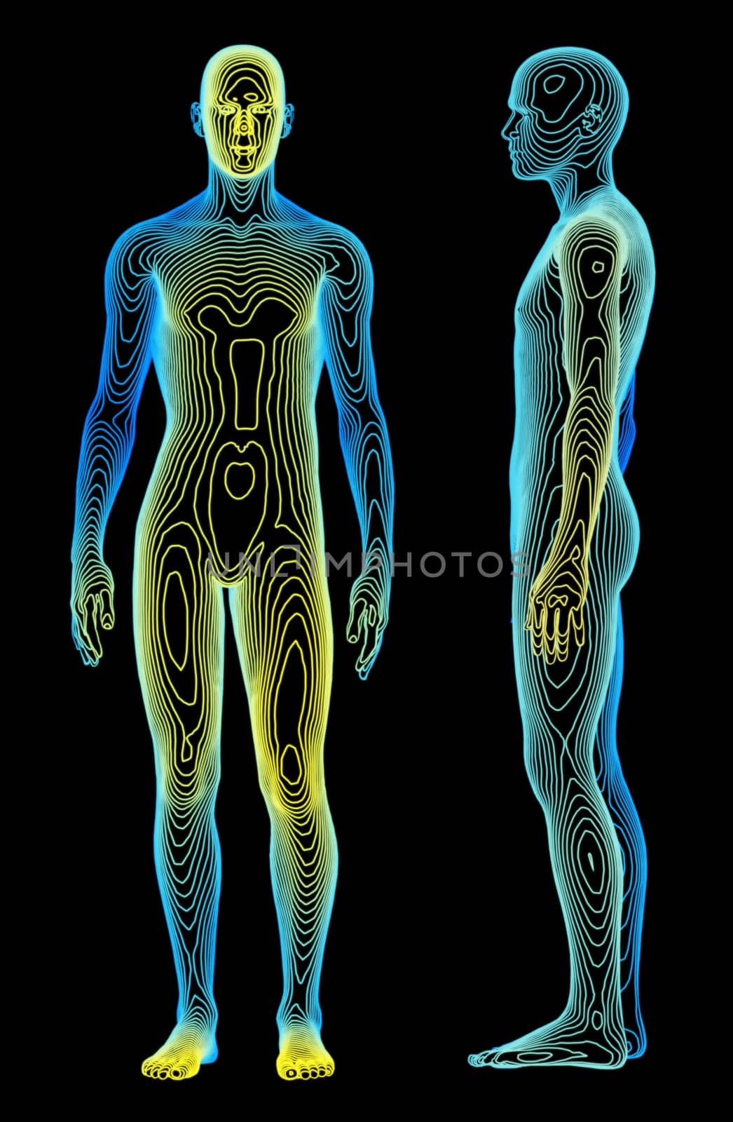 Body Analysis