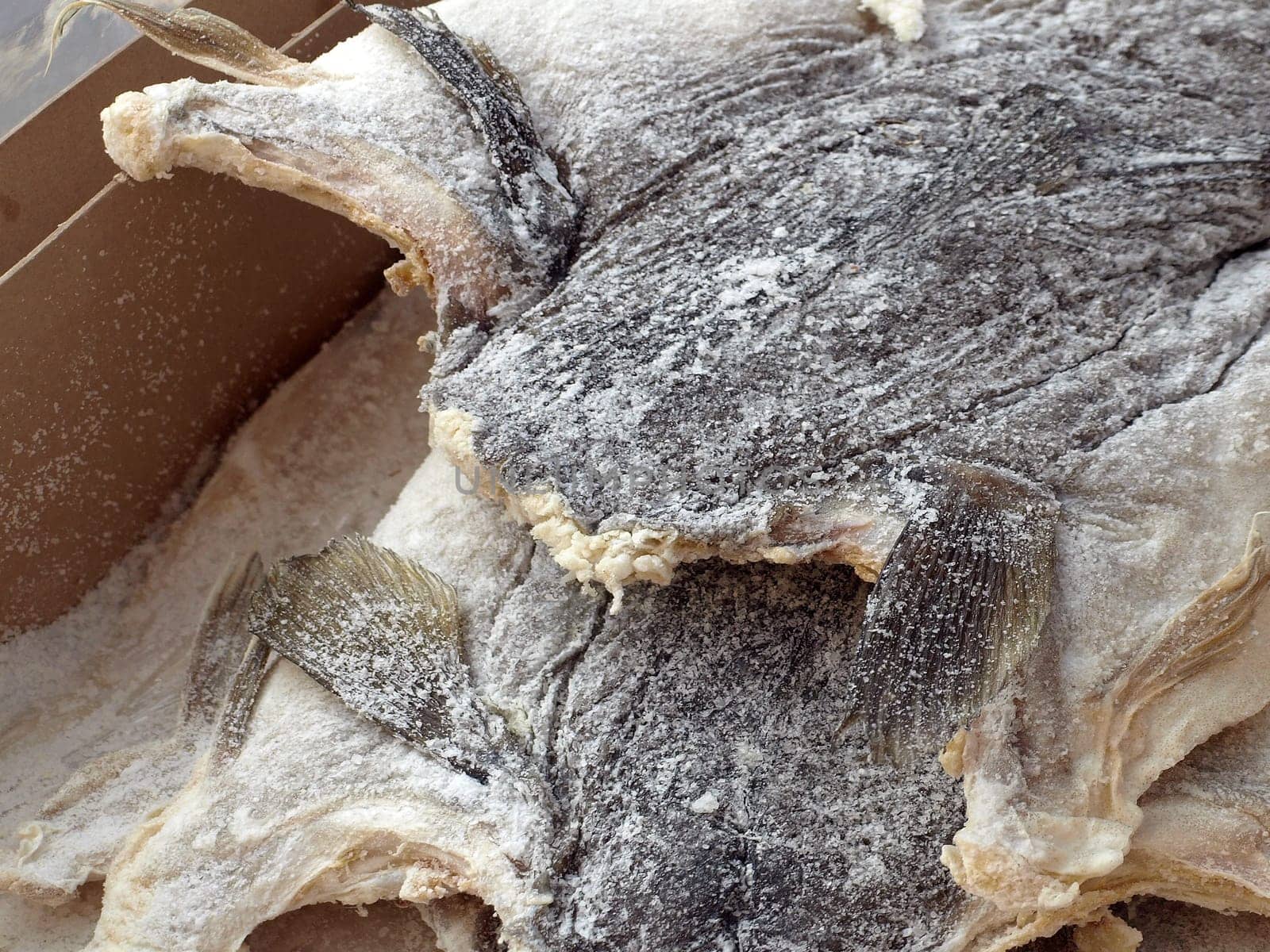 Bacalao