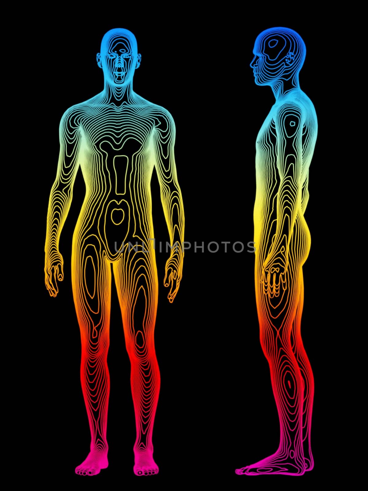 Body Analysis
