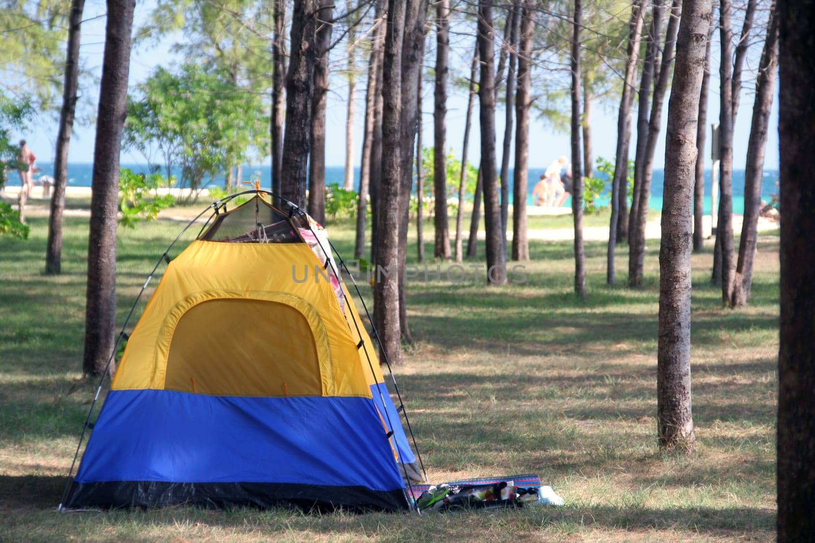 Camping