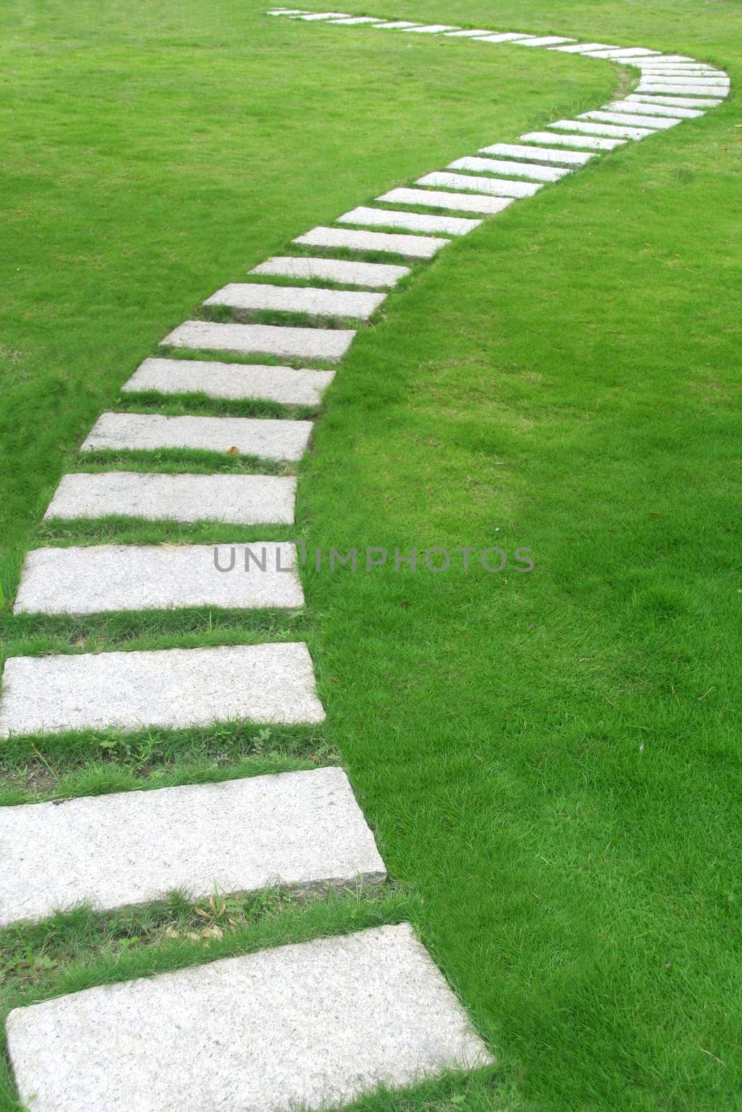 Path