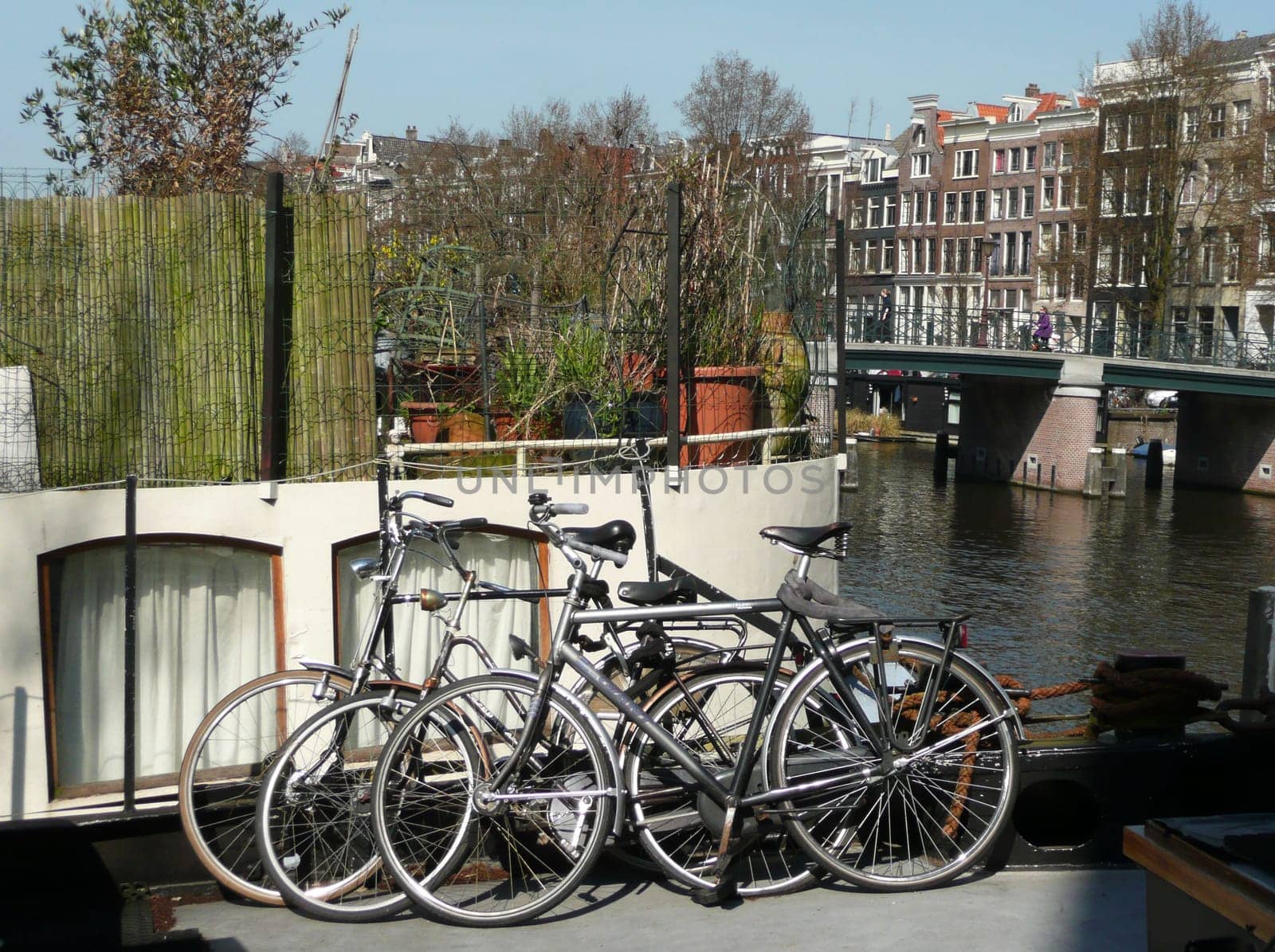 typical Amsterdam