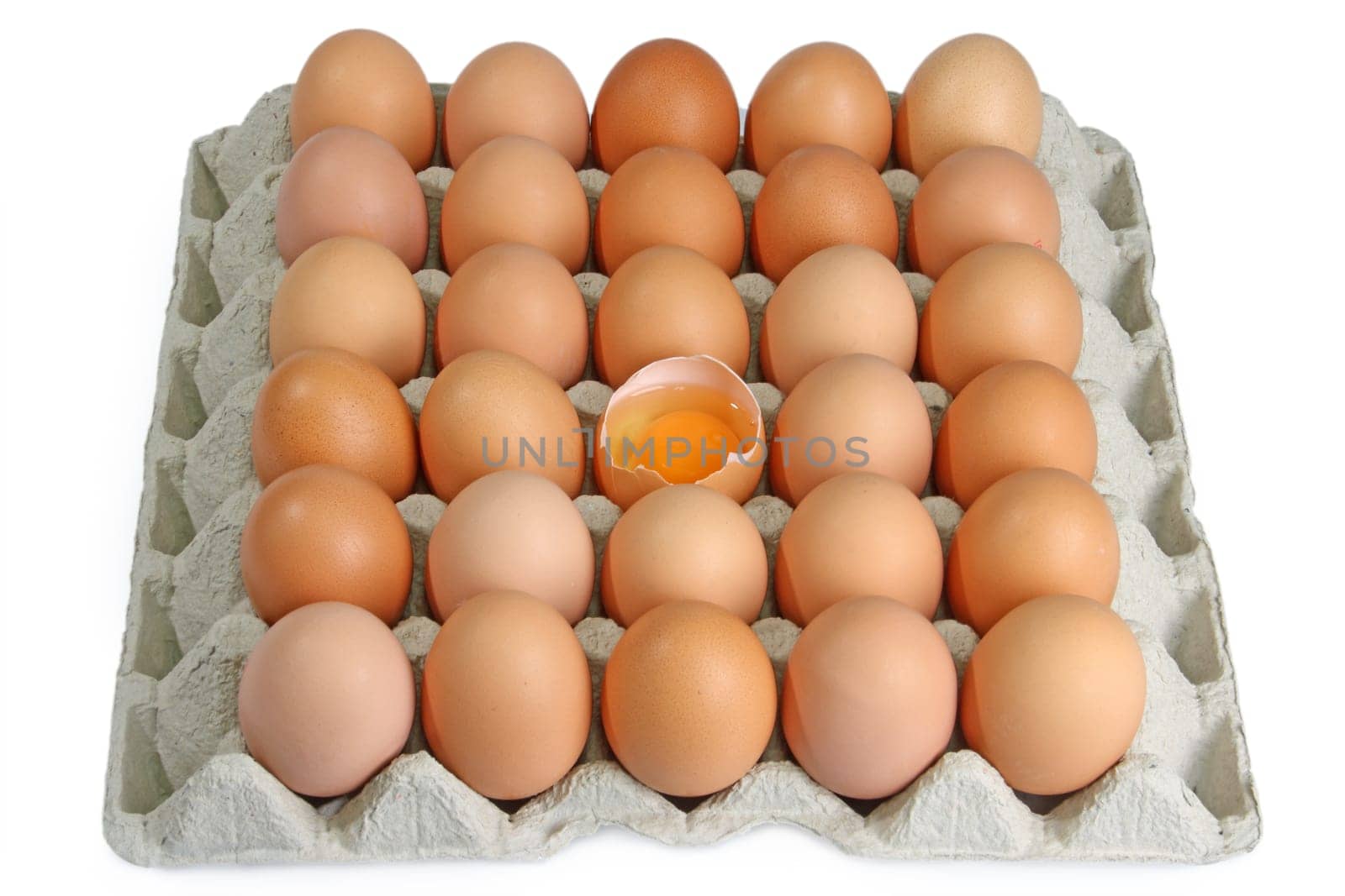 Egg yolk