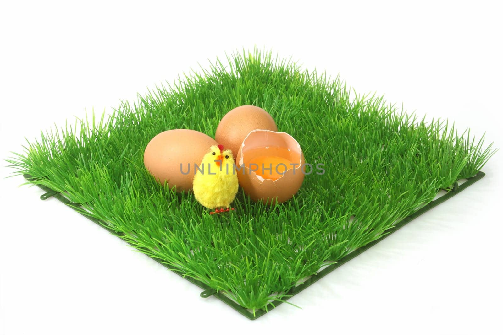 Decorative Eggs