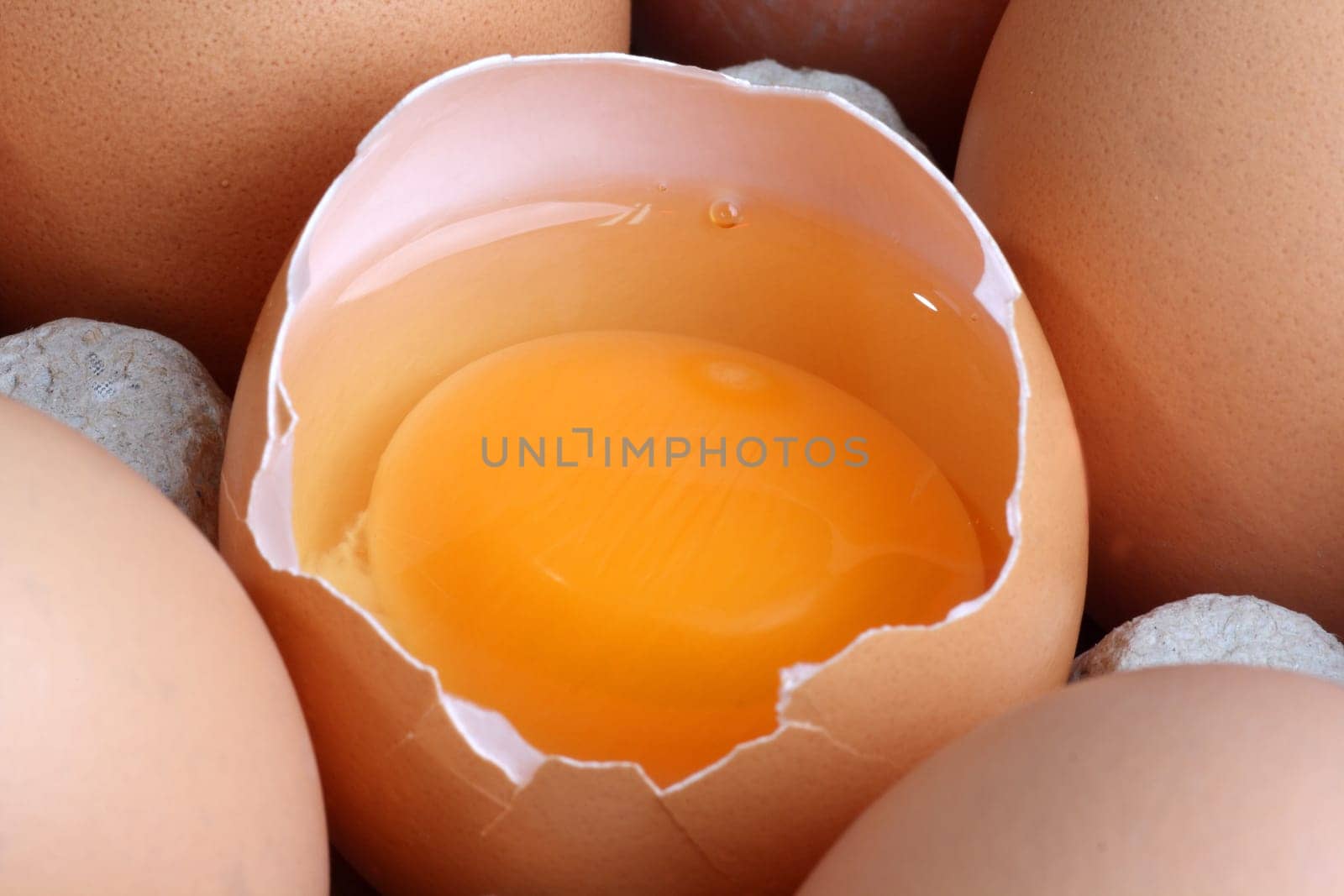Egg yolk