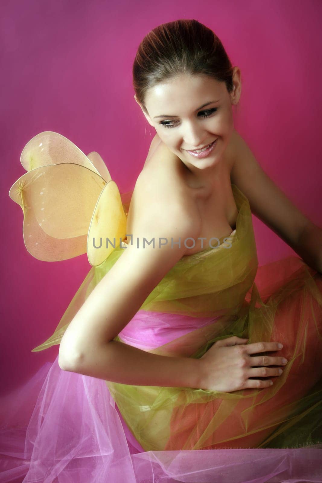 Fairy